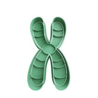 Cromosomas Cortador de Galletas