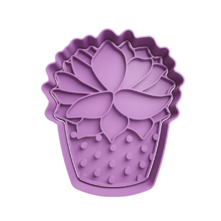 Cactus Cortador de Galletas