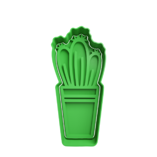 Cactus Cortador de Galletas